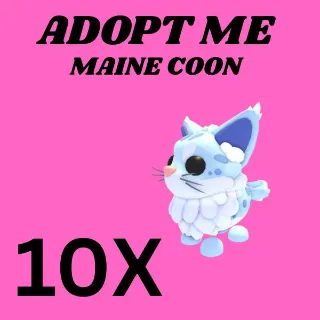MAINE COON 10X - ADOPT ME 