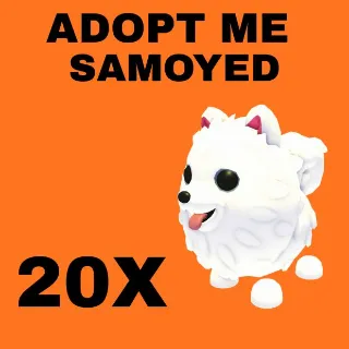 SAMOYED 20X  - ADOPT ME 