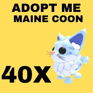MAINE COON 40X - ADOPT ME 