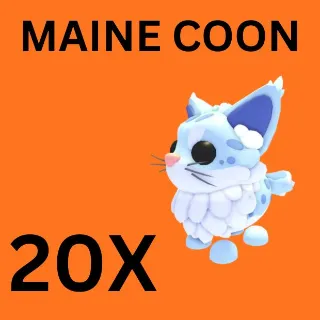 MAINE COON 20X - ADOPT ME 