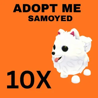SAMOYED 10X - ADOPT ME 