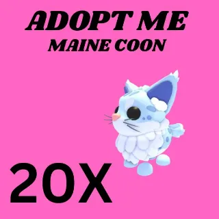 MAINE COON 20X - ADOPT ME 