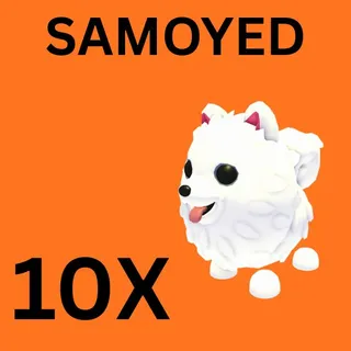 SAMOYED 10X - ADOPT ME 