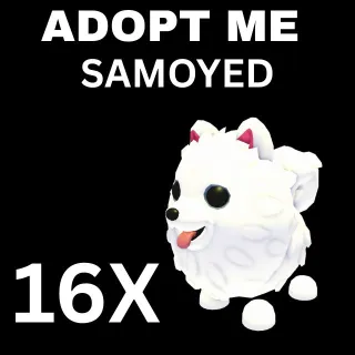 16X  SAMOYED