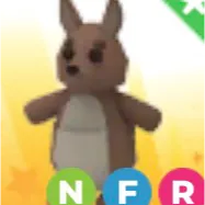 NFR KANGAROO 🦘