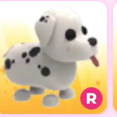 R DALMATIAN 🐶🐾🦴
