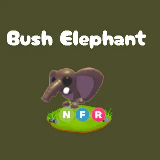 NFR Bush Elephant