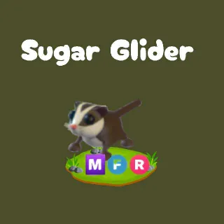 MFR Sugar Glider