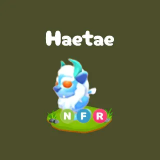 NFR Haetae