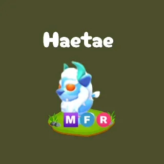MFR Haetae