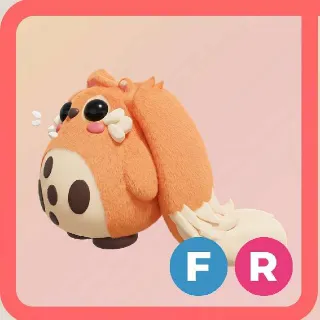 FR Cabbit