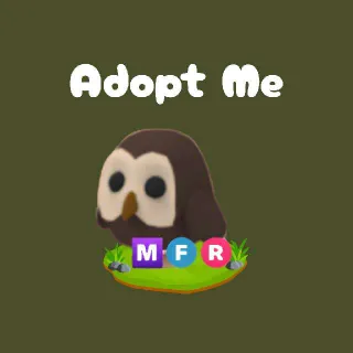 MFR Owl