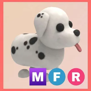 Mega Dalmatian