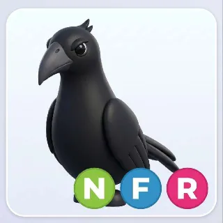 NFR Crow