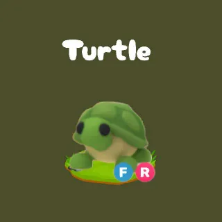 FR Turtle