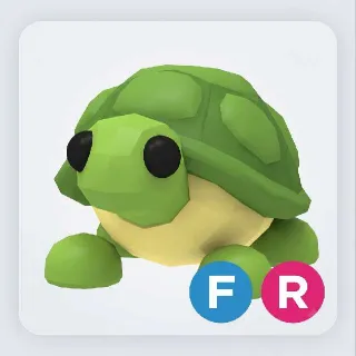 FR Turtle