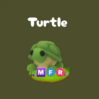 MFR Turtle