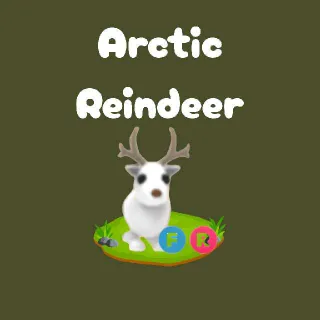 FR Arctic Reindeer