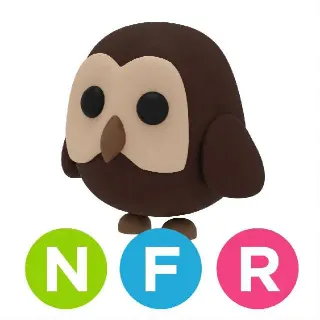 NFR Owl