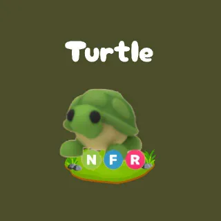 NFR Turtle