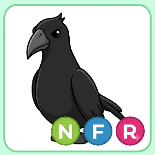 NFR Crow