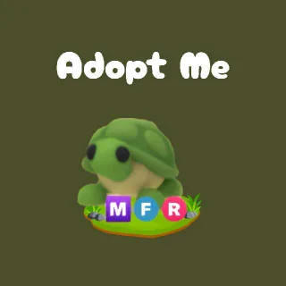 Mega Turtle
