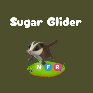 NFR Sugar Glider