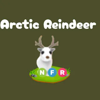 NFR Arctic Reindeer