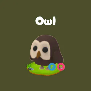 FR Owl