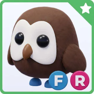 FR Owl