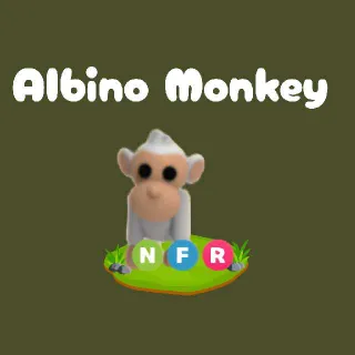 NFR Albino Monkey