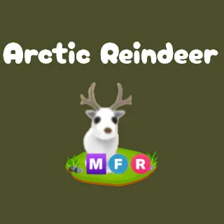MFR Arctic Reindeer