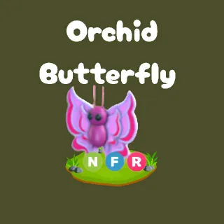 NFR Orchid Butterfly