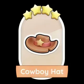Cowboy Hat