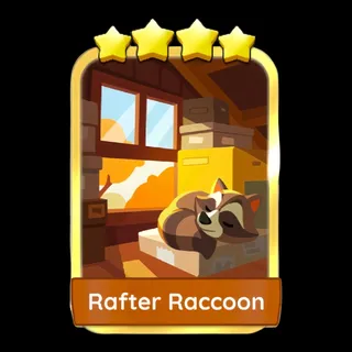 Rafter Raccoon