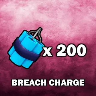Breach Charge