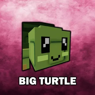 Big Turtle