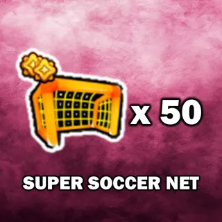 Super Soccer Net