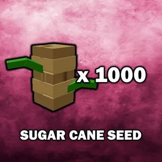 Sugar Cane Seed