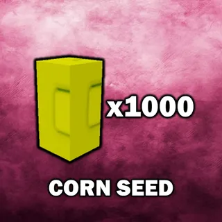 Corn Seed