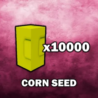 Corn Seed