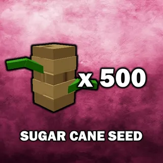 Sugar Cane Seed