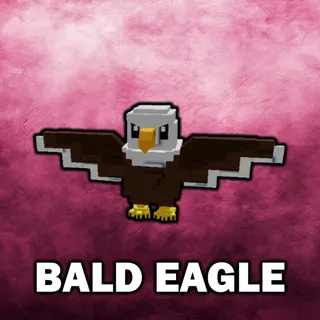 1x Bald Eagle