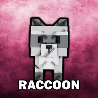 3x Raccoon