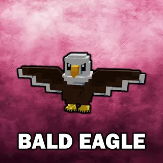 x5 Bald Eagle