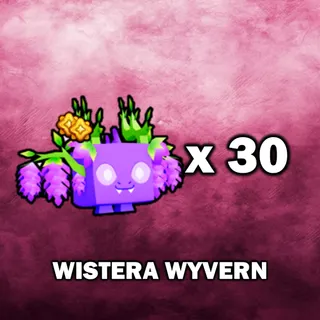 Wistera Wyvern