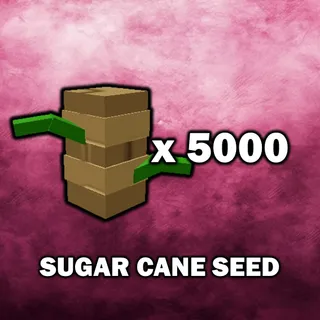 Sugar Cane Seed