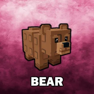x10 Bear
