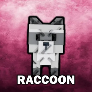 x2 Raccoon