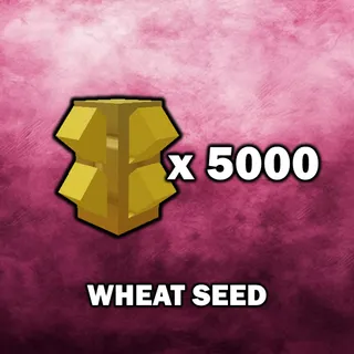 Wheat Seed